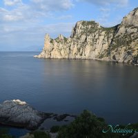 Природа Крыма :: Amazing Cosmea