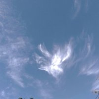 *** :: Валентина Береснева