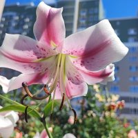 ,,, :: Сергей Тимоновский