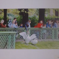 фотовыставка "Обитатели Летнего сада" :: zavitok *