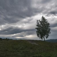 Перед дождем :: Марина Фомина.