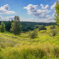 Палитра августа... :: Владимир Жданов