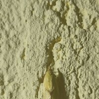 ,идеальная консперация :: Марина Гранкова