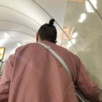 модная прическа :: zavitok *