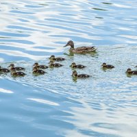 3906 :: Alex . 3906 :: Alex .