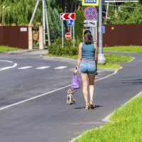 Дама собачкой :: Валерий Иванович