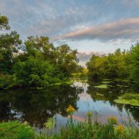 ***** :: Виталий Емельянов