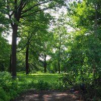 /// :: Виктор Никитенко /// :: Виктор Никитенко