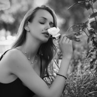 Роза :: Екатерина 