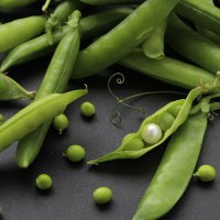 Жемчужинка. :: Нина Сироткина Жемчужинка. :: Нина Сироткина