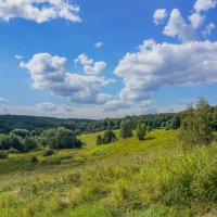 Палитра августа... :: Владимир Жданов
