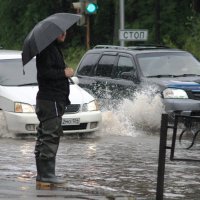 Летний дождь... :: Владилен Панченко