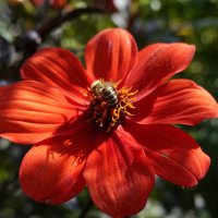 ... :: Галина ... :: Галина