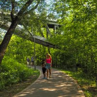 ***** :: юрий поляков