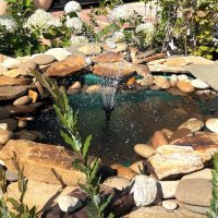 Фонтан серебряной струёй переливается на солнце! :: Нина Андронова