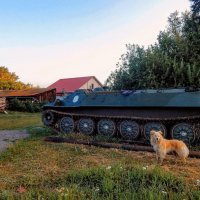 Мирный танк под чистым небом! :: Елена Хайдукова  ( Elena Fly )