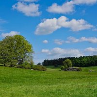 Пейзаж :: Waldemar F.