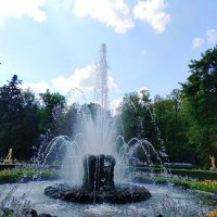 Фонтан "Сноп". Нижний парк. Петергоф. :: Любовь Сахарова