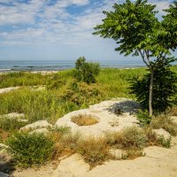 Берег Каспия :: Анатолий Чикчирный Берег Каспия :: Анатолий Чикчирный