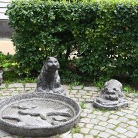 Солнечный город :: redfox 