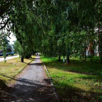 Алатырь. Берёзовая аллея ул. Горького летом. :: Пётр Чернега Алатырь. Берёзовая аллея ул. Горького летом. :: Пётр Чернега