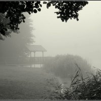 утро.... :: Aleksandr Gal утро.... :: Aleksandr Gal