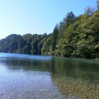 Озеро :: Алёна Савина Озеро :: Алёна Савина