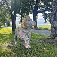 По дороге в лес встретился барашек.:) :: Валерия Комова