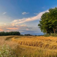 Summer 2025 3 :: Arturs Ancans