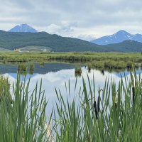 Домашние вулканы :: Александр Белов