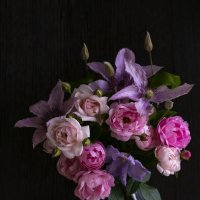 розово-сиреневый ноктюрн :: Наталья Крюкова