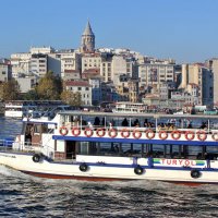 Густонаселённый мегаполис :: Владимир Соколов (svladmir)