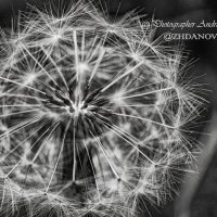 Жду ветра! :: Андрей Жданов