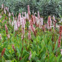 Москва парк Зарядье :: Валерий Елистратов