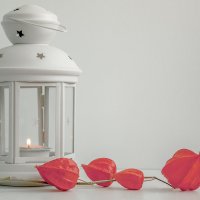 * :: Валерий Елистратов