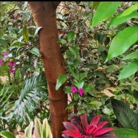 Цветы лета! :: Надежда Цветы лета! :: Надежда