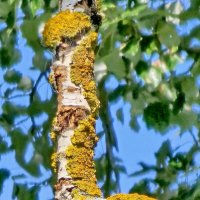 Суздаль :: Михаил Свиденцов