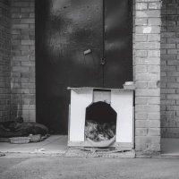 Ещё одна отдельная квартира в многоквартирном доме(чб) :: Сергей Царёв