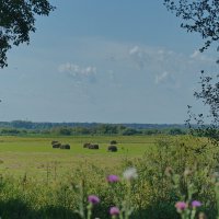 Плоды покоса... :: Андрей Катков