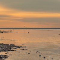 Вечер на берегах озера Ильмень :: Александр Филатов
