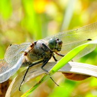 из снятого сегодня 2 :: Александр Прокудин
