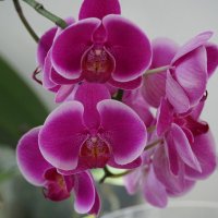 **** :: Иван Литвинов **** :: Иван Литвинов