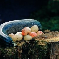 Натюрморт :: Леонид leo Натюрморт :: Леонид leo