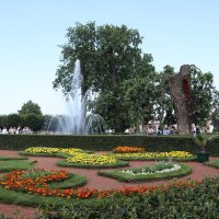 Сад дворца "Монплезир" :: Любовь Сахарова