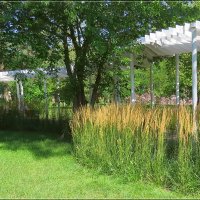 Август в парке :: Сеня Белгородский