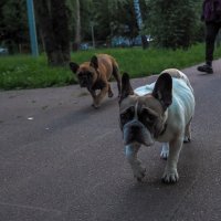 ***** :: юрий поляков