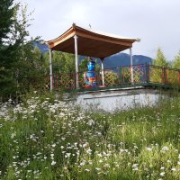 Конец июля - тоже середина лета :: Галина Минчук