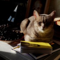 Мальчик с виноградом :: Maria Rainer