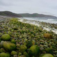 На пляже "Яйца драконов" :: Ольга Чистякова