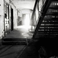 ---Through the back exit only--- :: AL Reborn 